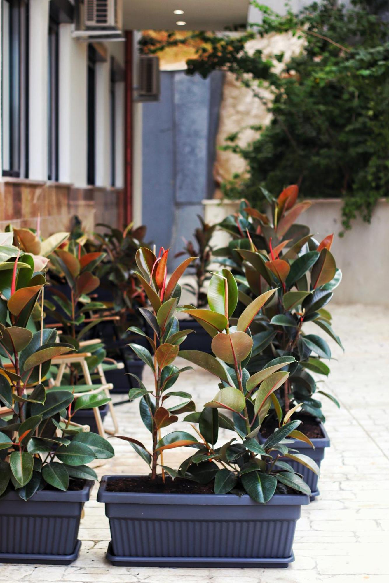 Golden Beach Suites Sarandë エクステリア 写真